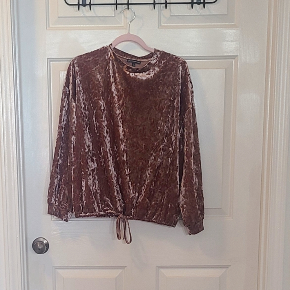Adrianna Papell Velvet Long Sleeve